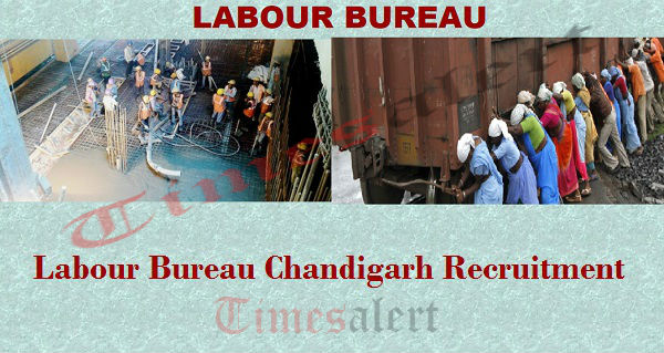 Labour Bureau Chandigarh Recruitment