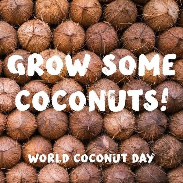 Happy World Coconut Day Wallpapers