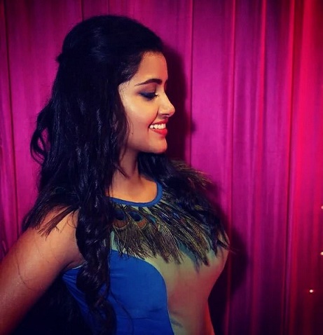 Anupama Parameswaran Affairs Boyfriend