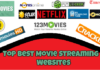 Best Movie Streaming Websites