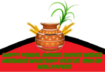 Happy Pongal 2025 Images Quotes Wishes Messages Whatsapp Status Wallpapers SMS GIF Happy Pongal