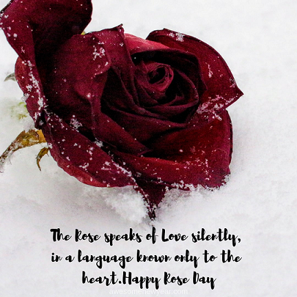 Happy Rose Day Images