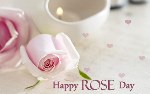 Happy Rose Day Quotes