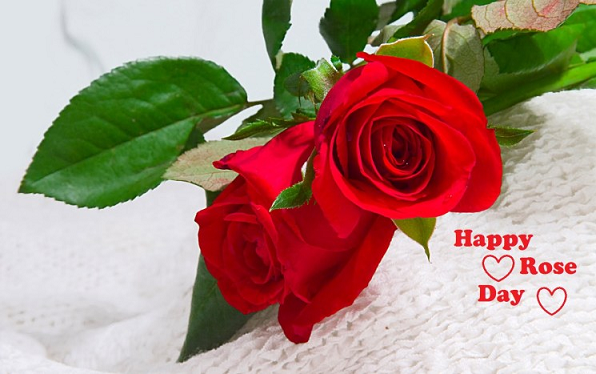 Happy Rose Day Wishes