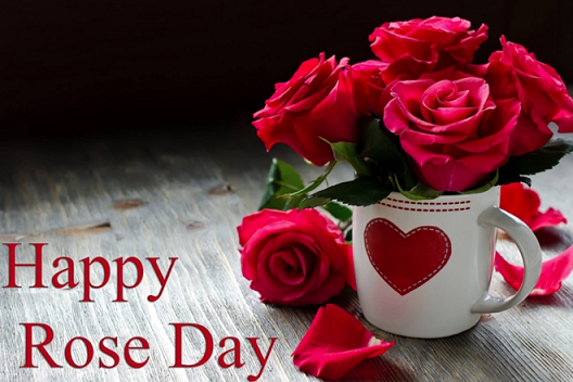 Happy Rose Day pics