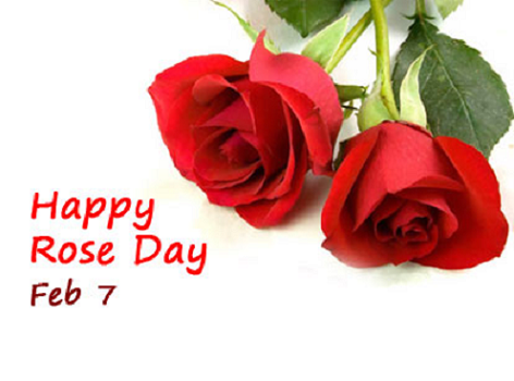 Happy Rose Day whatsapp images