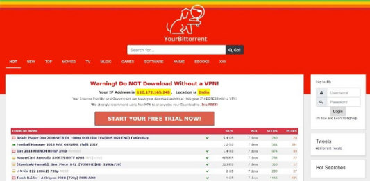 your bit torrent your bit torrent