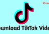 Best Ways To Download TikTok Videos On iPhone And Android Download TikTok Video