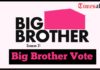 Big Brother Vote