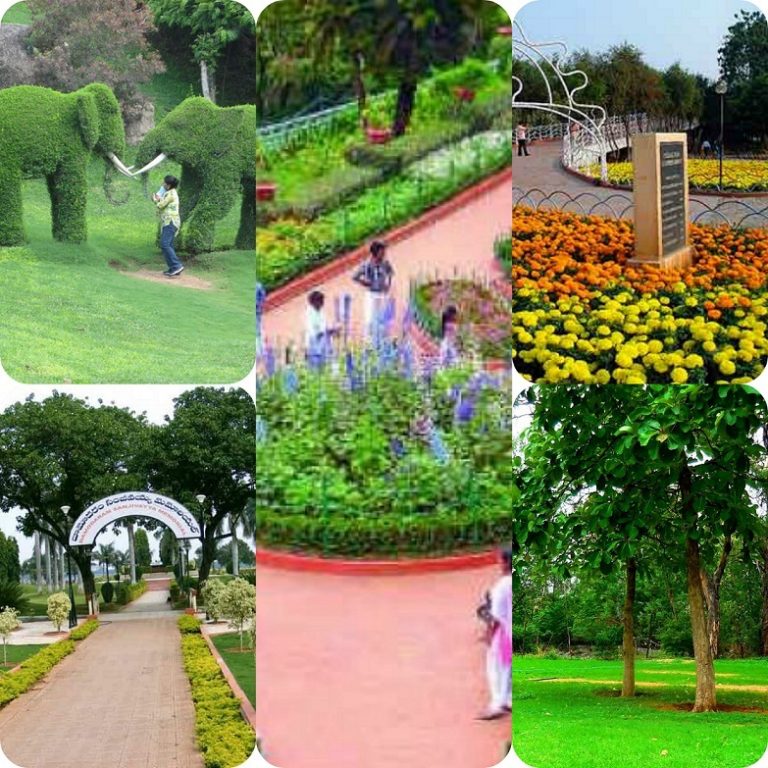 Botanical Garden Hyderabad Timings, Entry Ticket Cost, price