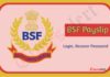 BSF GPF Payslip