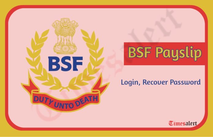 bsf-pay-slip-login-bsf-gov-in-bsf-payslip-gpf-download