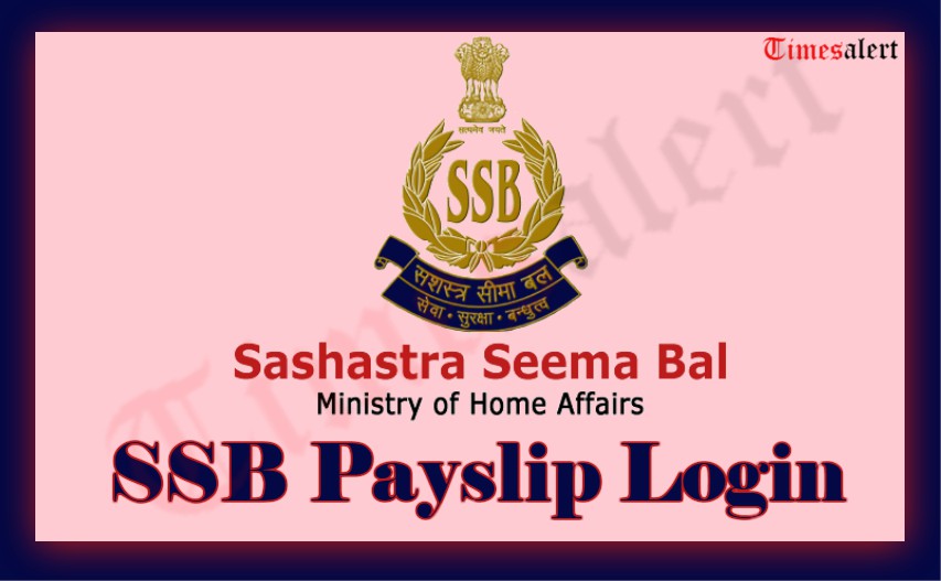 SSB Pays Slip