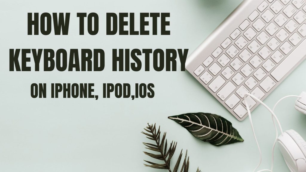 delete keyboard history on iPhon