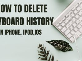 delete keyboard history on iPhon