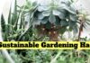 Sustainable Gardening Hacks That Will Transform Your Green Space Sustainable Gardening Hacks