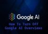 How To Turn Off Google AI Overviews Google-AI