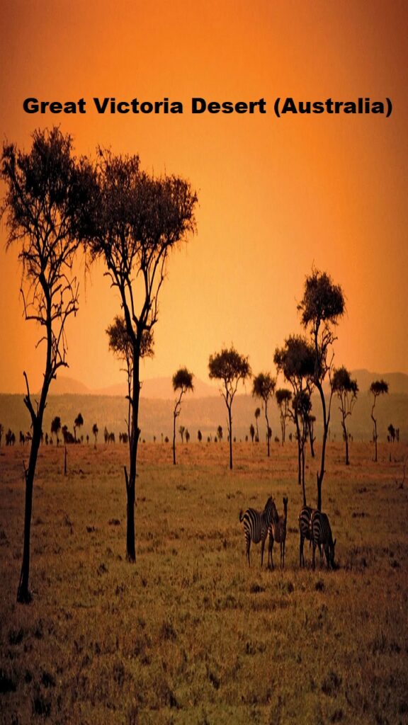 Great Victoria Desert (Australia)