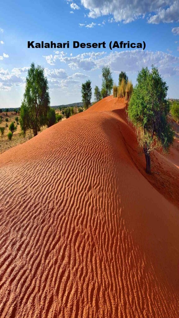 Kalahari Desert (Africa)