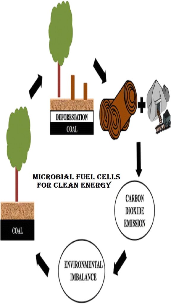 Microbial Fuel Cells for Clean Energy