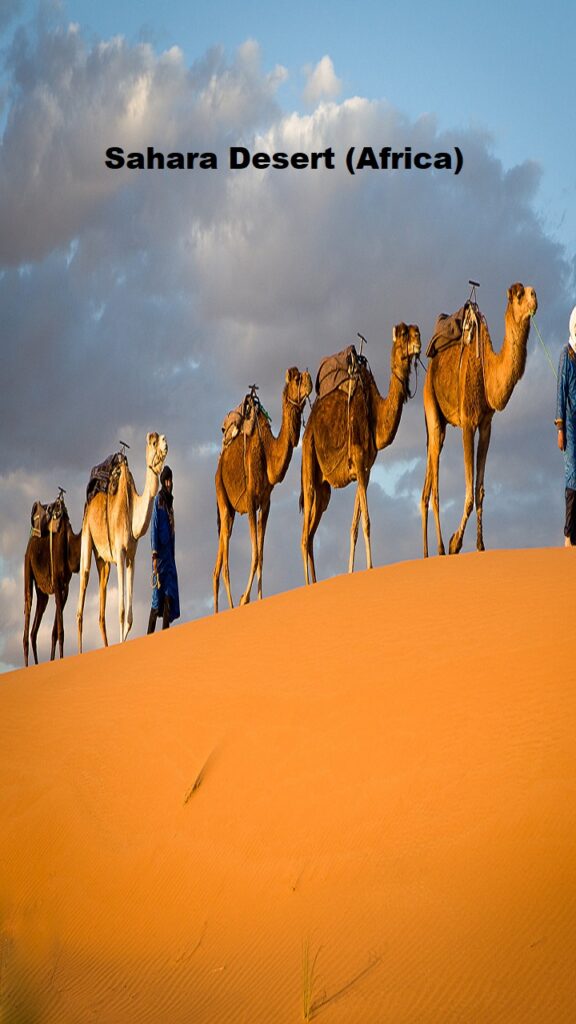 Sahara Desert (Africa)