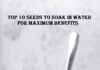 Top 10 Seeds To Soak In Water For Maximum Benefits Seeds To Soak In Water