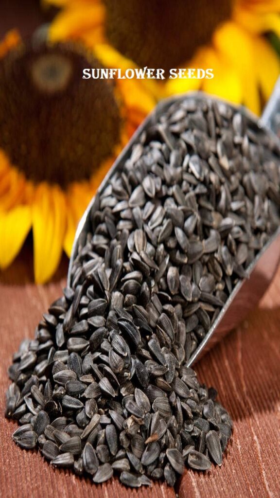 Sunflower Seeds