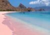 Top 10 Best Stunning Pink Beaches In The World Best Stunning Pink Beaches