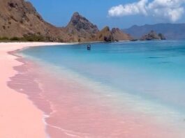 Best Stunning Pink Beaches