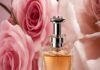 Top 10 Best Women Perfumes In The World top 10 women perfumes