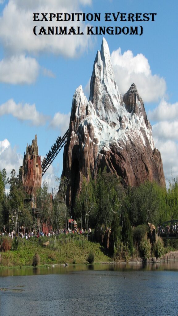 Expedition Everest (Animal Kingdom)