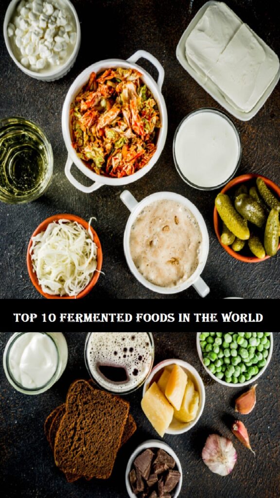 fermented foods in the world