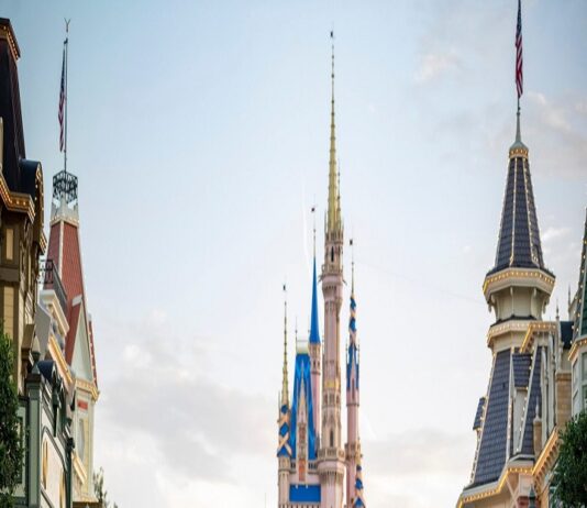 rides at disney world
