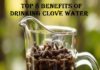 Top 8 Benefits Of Drinking Clove Water Benefits Of Drinking Clove Water