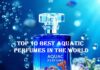 Top 10 Best Aquatic Perfumes In The World Best Aquatic Perfumes In The World