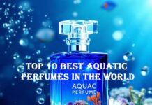 Top 10 Best Aquatic Perfumes In The World Best Aquatic Perfumes In The World